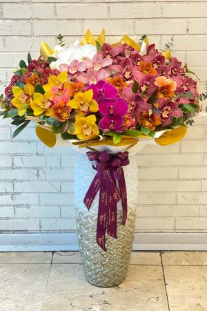 دیزاین‌های شاخص نلی