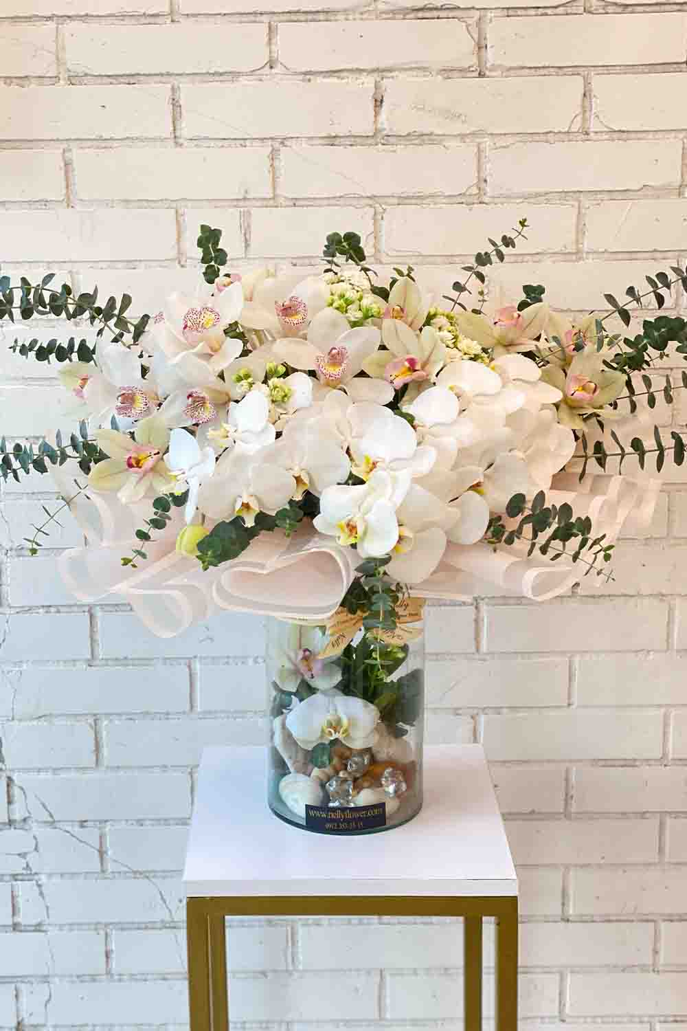 ۶۰ سانت لوکس ارکیده های سفید نلی