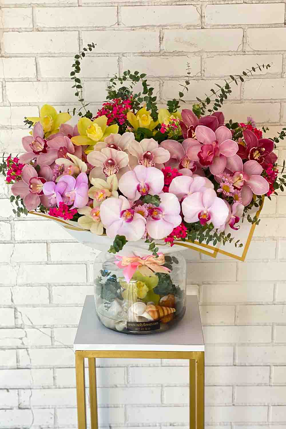 ۶۵ سانت سایز بزرگ تمام ارکیده نلی