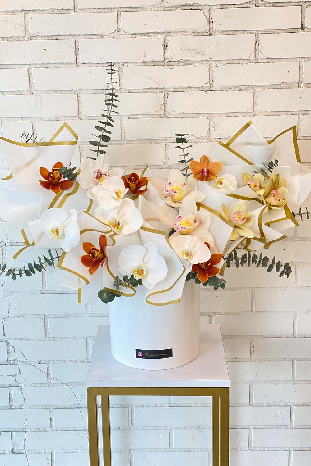 تمام ارکیده نلی(۵۵ سانت)