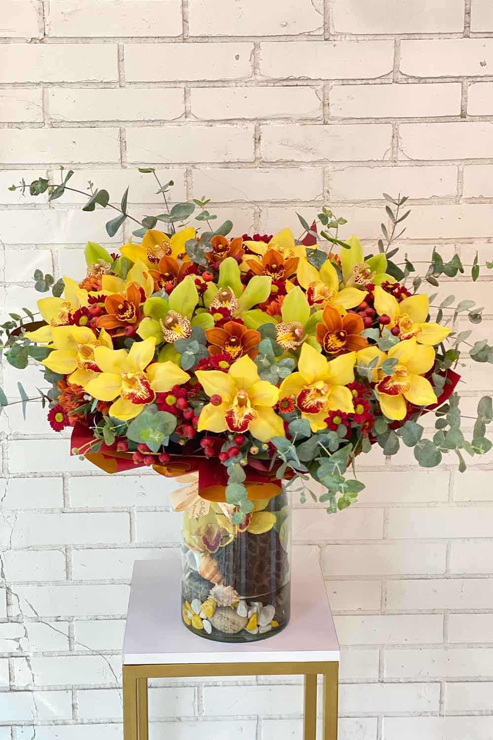 ۶۵ سانت لوکس تمام ارکیده سیمبیدیوم