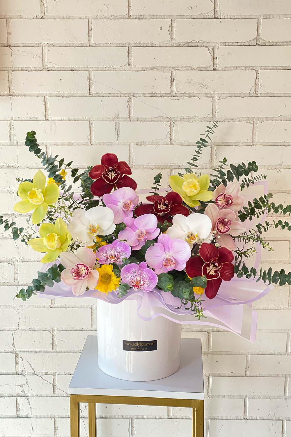 ۵۰ سانت تمام ارکیده نلی