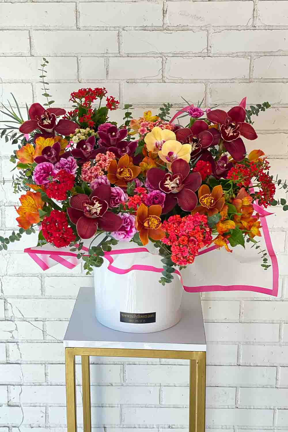 ۵۵سانت تمام ارکیده رنگی نلی