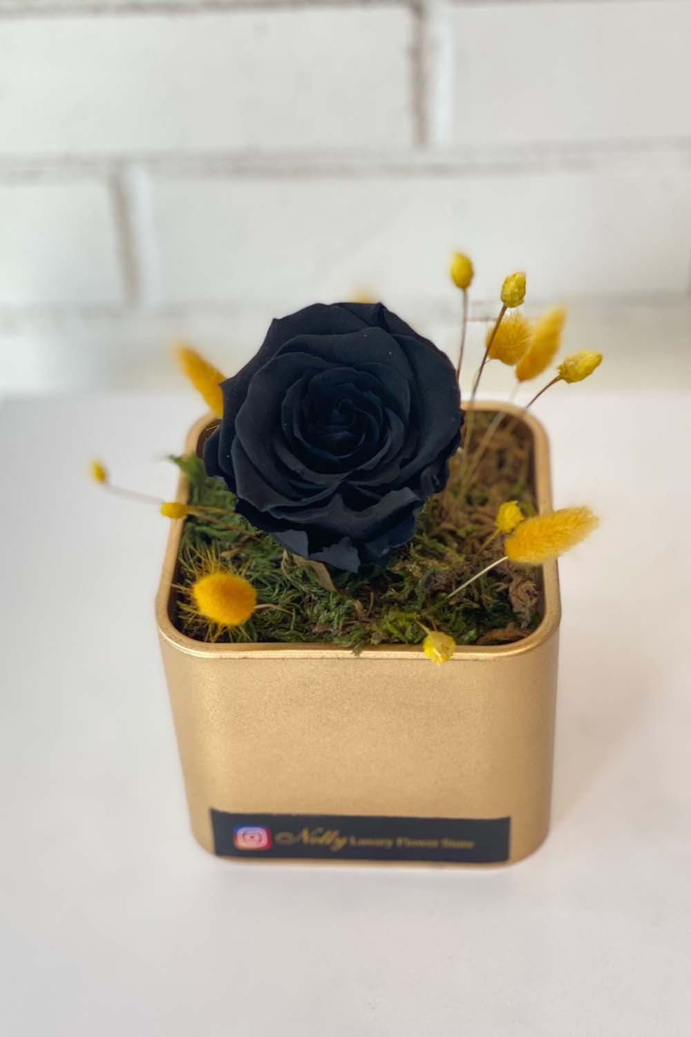 رز جاویدان مشکی نلی